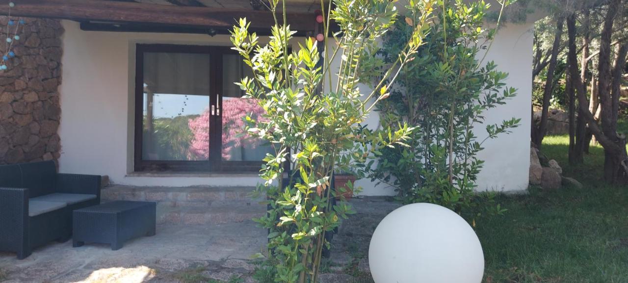 Domus Liscia Di Vacca Aparthotel Εξωτερικό φωτογραφία