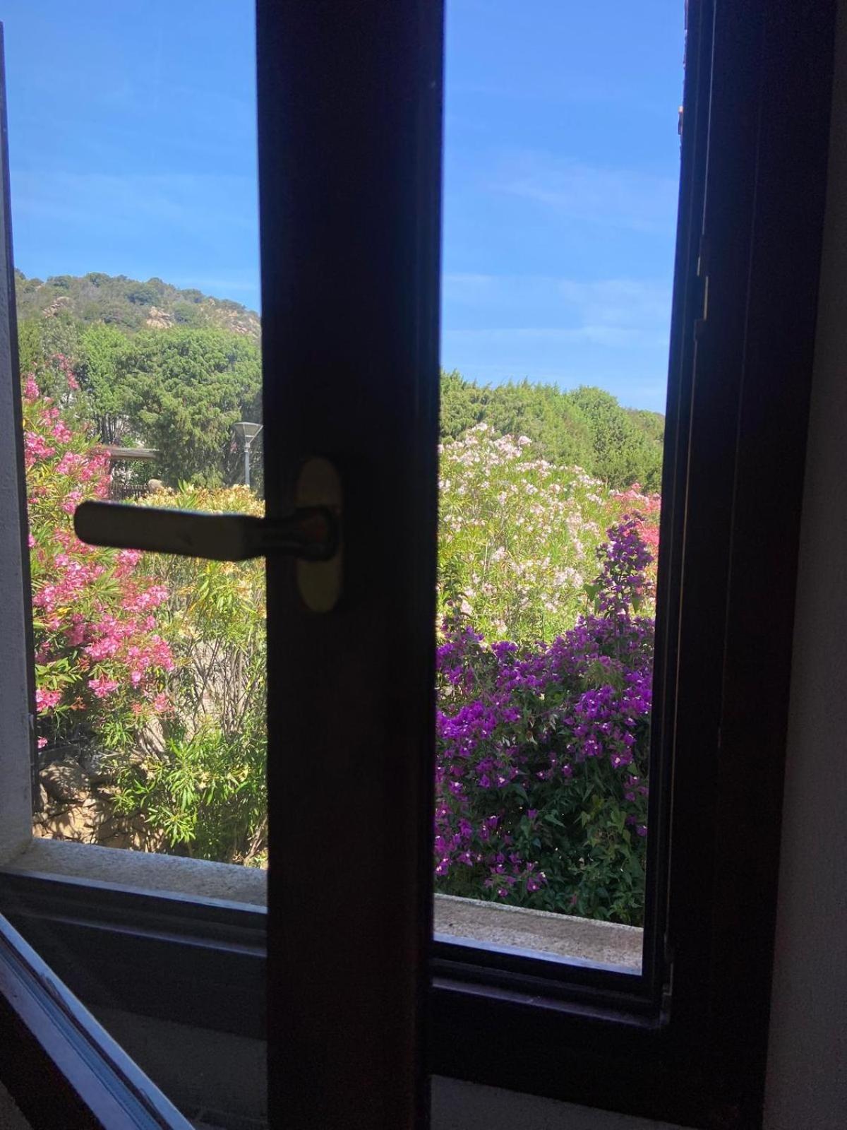 Domus Liscia Di Vacca Aparthotel Εξωτερικό φωτογραφία
