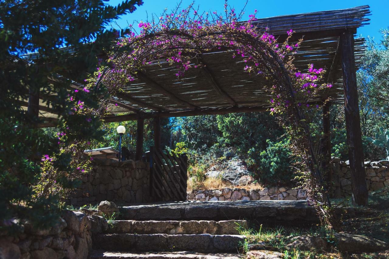 Domus Liscia Di Vacca Aparthotel Εξωτερικό φωτογραφία